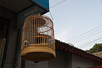 《霍格沃茨的遗产》新截图公布 光影效果很不错